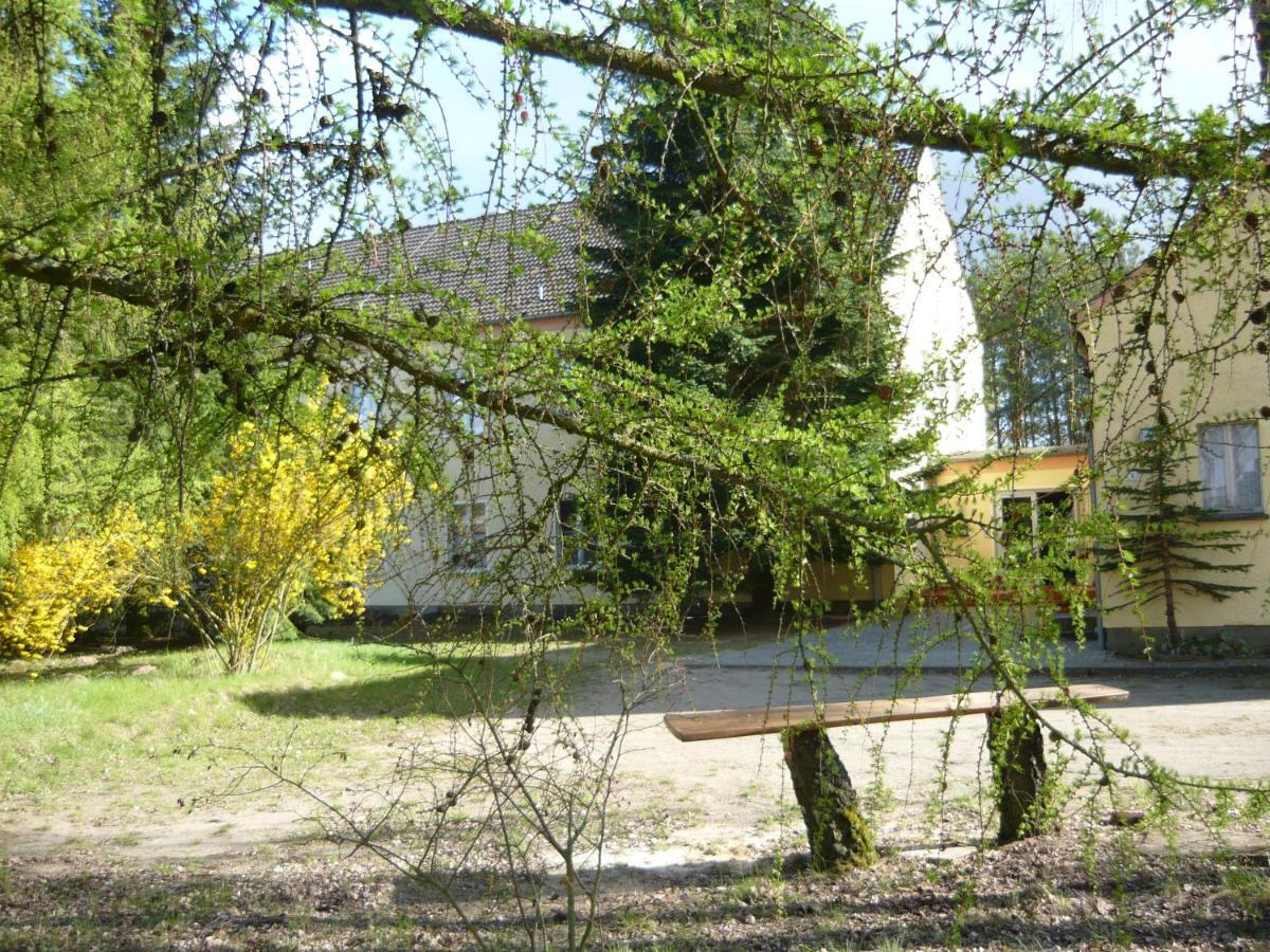 Grosse Wohnung Nossentiner Huette ภายนอก รูปภาพ
