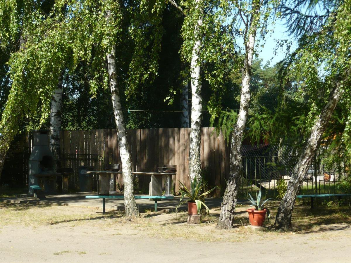 Grosse Wohnung Nossentiner Huette ภายนอก รูปภาพ